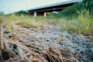Frio intenso: sensação térmica de 1˚C e geada marcam a terça-feira em Umuarama