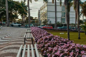 Umuarama é destaque estadual em beleza urbana com paisagismo florido nas praças