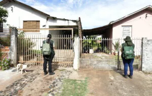 Infestação predial por larvas do mosquito da dengue é considerada de médio risco