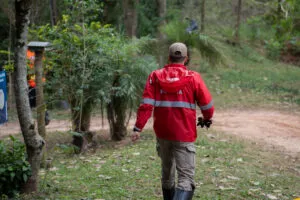 Cão farejador foi essencial para localização do corpo de idosa desaparecida em Umuarama