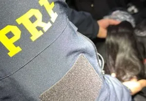 PRF faz apreensão de cabelo avaliado em R$ 800 mil na região de Umuarama