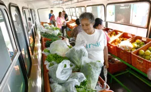Feirinha do Lixo que Vale agora conta com orientações de nutricionista em Umuarama