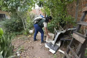 Umuarama tem alta infestação do mosquito da dengue em algumas regiões