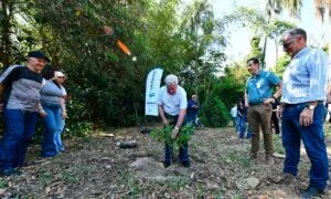 Plantio de 350 mudas nativas marca a Semana da Árvore em Umuarama