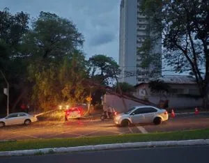 Vento forte derruba árvores, levanta poeira e muda o tempo após dia de calor em Umuarama