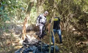 Polícia Civil e Força Nacional encontram estrutura criminosa em área rural de Icaraíma