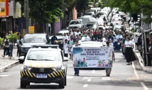 Dia Nacional de Combate à Dengue teve passeata no centro de Umuarama