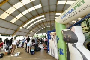 Cadastramento de animais segue aberto até sexta-feira para famílias de baixa renda