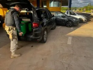 Polícia Rodoviária Federal apreende mais de 220 quilos de maconha e prende três batedores