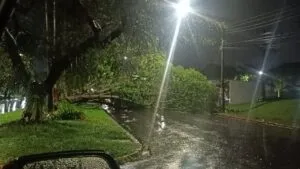 Temporal com ventos fortes provoca estragos e assusta moradores em Umuarama